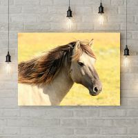 Картина на холсте Horse Face, 50х35 см