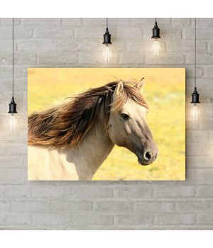 Картина на холсте Horse Face, 50х35 см