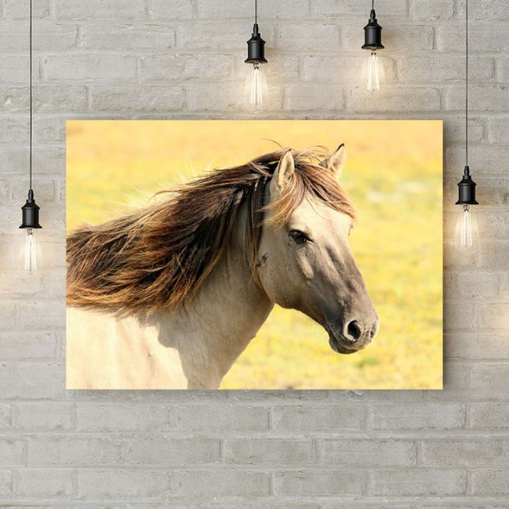 Картина на полотні Horse Face, 50х35 см