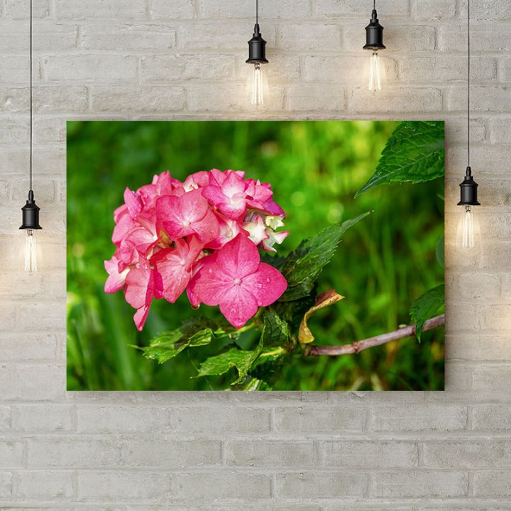 Картина на холсте Розовый цветок 2, 50х35 см