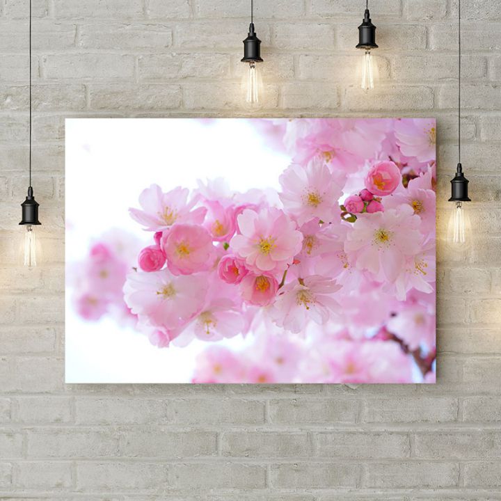Картина на холсте Бело-розовая сакура, 50х35 см