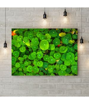 Картина на холсте Фон из зеленых цветов 4, 50х35 см