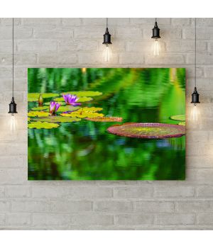 Картина на холсте Водяные лилии, 50х35 см