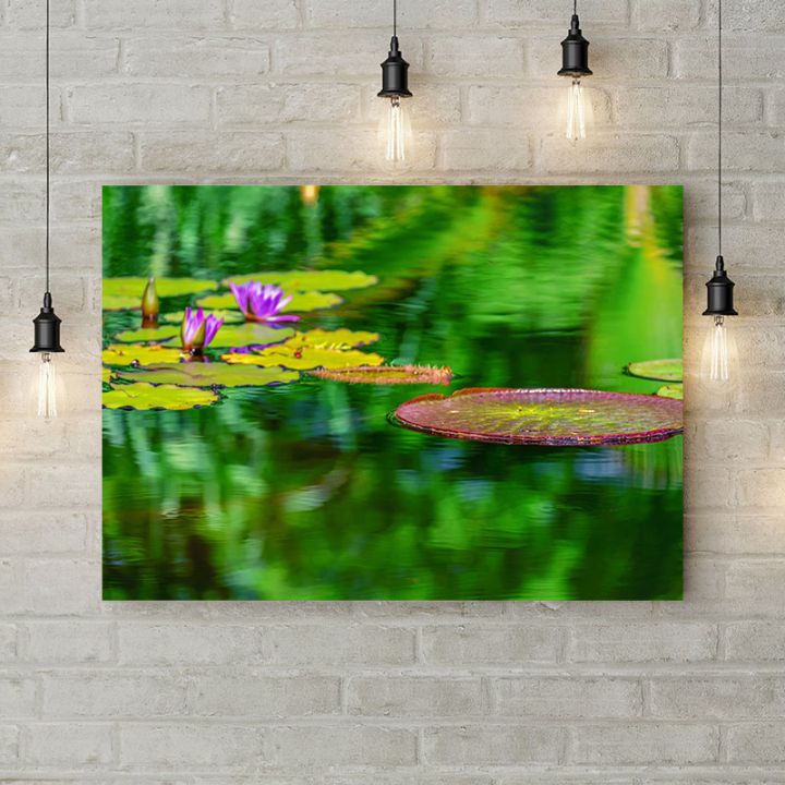 Картина на холсте Водяные лилии, 50х35 см