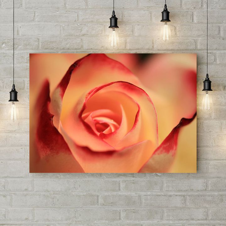 Картина на холсте Бутон розы макросьемка, 50х35 см