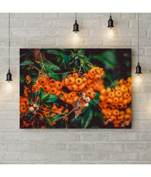 Картина на холсте Оранжевая рябина, 50х35 см