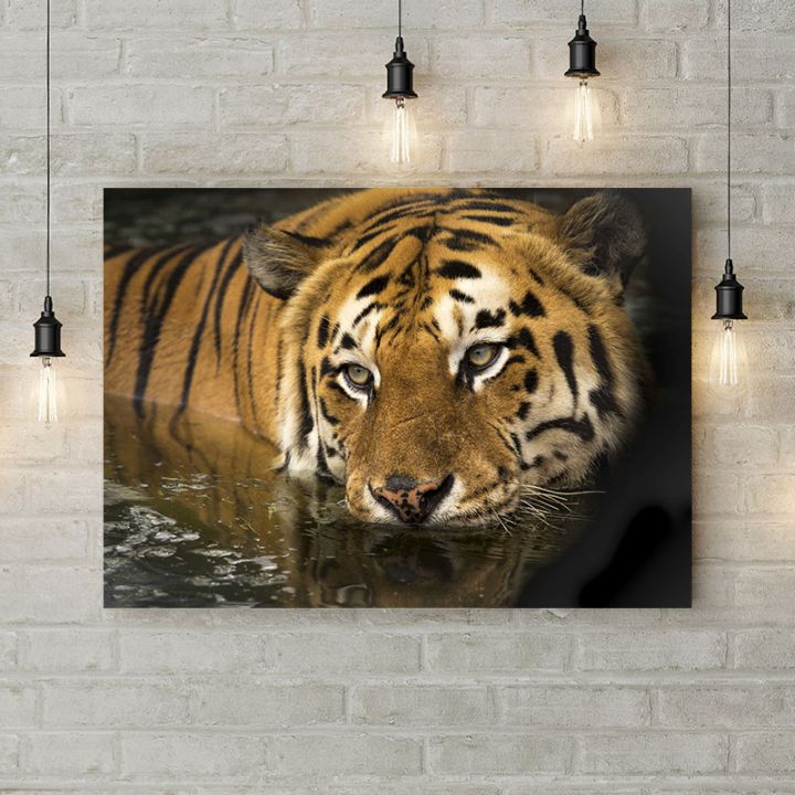 Картина на холсте Тигр на водопое, 50х35 см