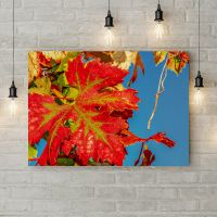 Картина на холсте Красные осенние листья 3, 50х35 см
