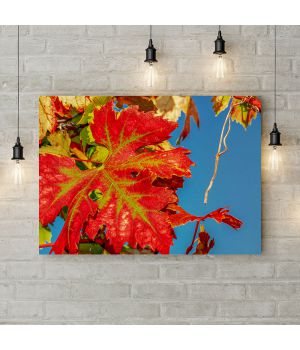 Картина на холсте Красные осенние листья 3, 50х35 см
