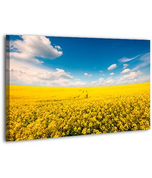 Картина на холсте XP410, 50х70 см