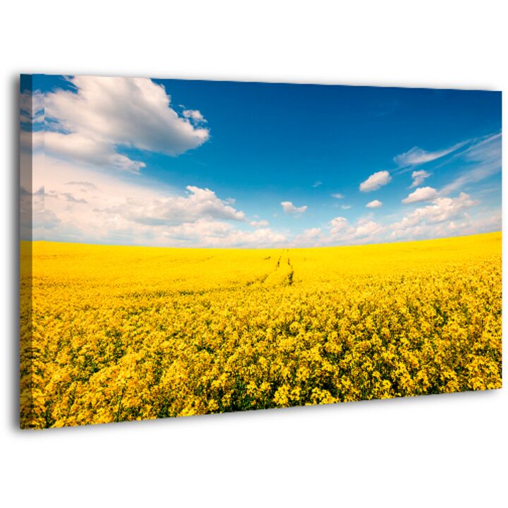 Картина на холсте XP410, 50х70 см