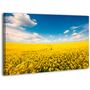 Картина на холсте XP410, 50х70 см