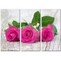 Красива кімнатна модульна картина на полотні Roses AMD 041, 96х70 см