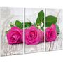 Красива кімнатна модульна картина на полотні Roses AMD 041, 96х70 см