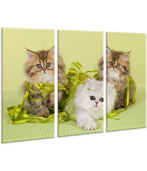 Красива кімнатна модульна картина на полотні Cats AMD 052, 96х70 см