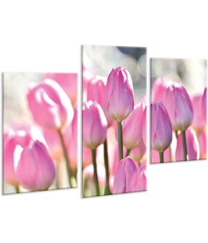 Красивая комнатная модульная картина на холсте Tulips AMD 091, 96х70 см