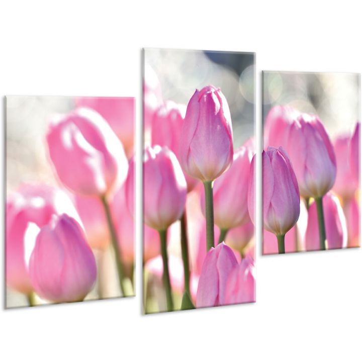 Красива кімнатна модульна картина на полотні Tulips AMD 091, 96х70 см