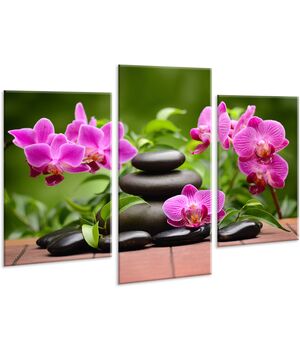Красивая комнатная модульная картина на холсте Orchid AMD 115, 96х70 см