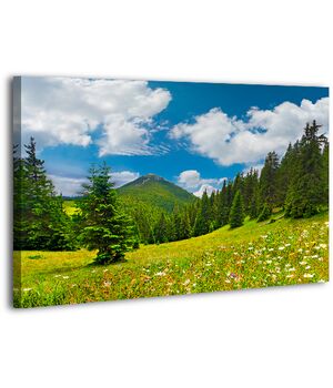 Картина на холсте XP389, 50х70 см