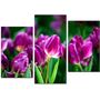 Красивая комнатная модульная картина на холсте Tulips AMD 028, 96х70 см