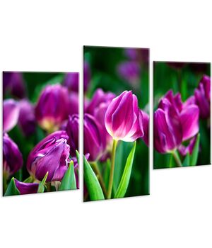 Красивая комнатная модульная картина на холсте Tulips AMD 028, 96х70 см