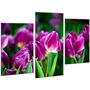 Красивая комнатная модульная картина на холсте Tulips AMD 028, 96х70 см