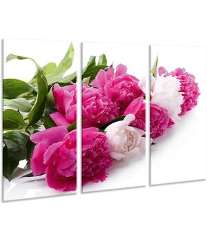 Красивая комнатная модульная картина на холсте Peonies AMD 053, 96х70 см