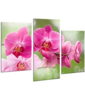 Красива кімнатна модульна картина на полотні Orchid AMD 106, 96х70 см