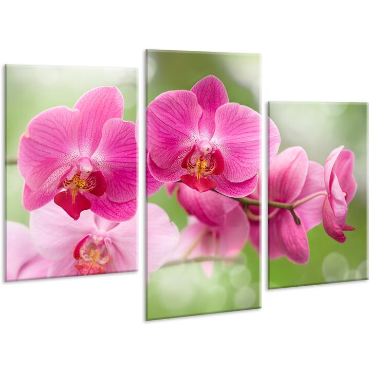 Красива кімнатна модульна картина на полотні Orchid AMD 106, 96х70 см
