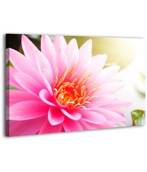 Картина на холсте XP412, 50х70 см