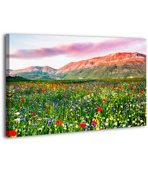 Картина на холсте XP392, 50х70 см