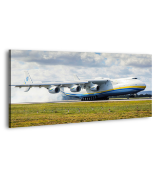 Оригинальная дизайнерская картина XP158, 50х100 см