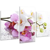 Красивая комнатная модульная картина на холсте Orchid AMD 015, 96х70 см