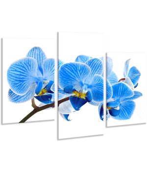 Красивая комнатная модульная картина на холсте Orchid AMD 107, 96х70 см