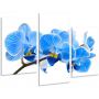 Красивая комнатная модульная картина на холсте Orchid AMD 107, 96х70 см