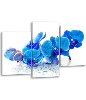 Красивая комнатная модульная картина на холсте AMD 141, 96х70 см