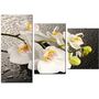 Красива кімнатна модульна картина на полотні Orchid AMD 017, 96х70 см