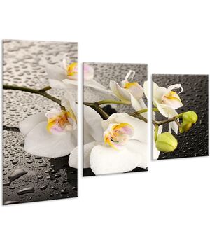 Красива кімнатна модульна картина на полотні Orchid AMD 017, 96х70 см