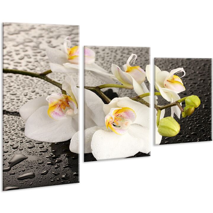 Красива кімнатна модульна картина на полотні Orchid AMD 017, 96х70 см