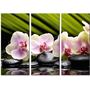 Красива кімнатна модульна картина на полотні Orchid AMD 030, 96х70 см