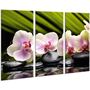 Красива кімнатна модульна картина на полотні Orchid AMD 030, 96х70 см