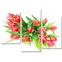 Красива кімнатна модульна картина на полотні Tulips AMD 108, 96х70 см