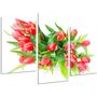Красива кімнатна модульна картина на полотні Tulips AMD 108, 96х70 см
