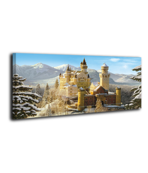 Оригинальная дизайнерская картина XP051, 50х100 см