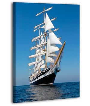 Картина на холсте XP372, 50х70 см