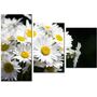 Красивая комнатная модульная картина на холсте Daisies AMD 018, 96х70 см