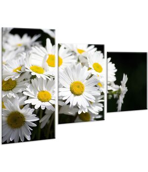 Красива кімнатна модульна картина на полотні Daisies AMD 018, 96х70 см