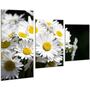 Красивая комнатная модульная картина на холсте Daisies AMD 018, 96х70 см