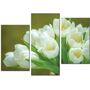 Красива кімнатна модульна картина на полотні Tulips AMD 095, 96х70 см