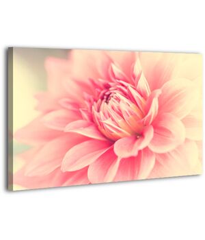 Картина на холсте XP395, 50х70 см